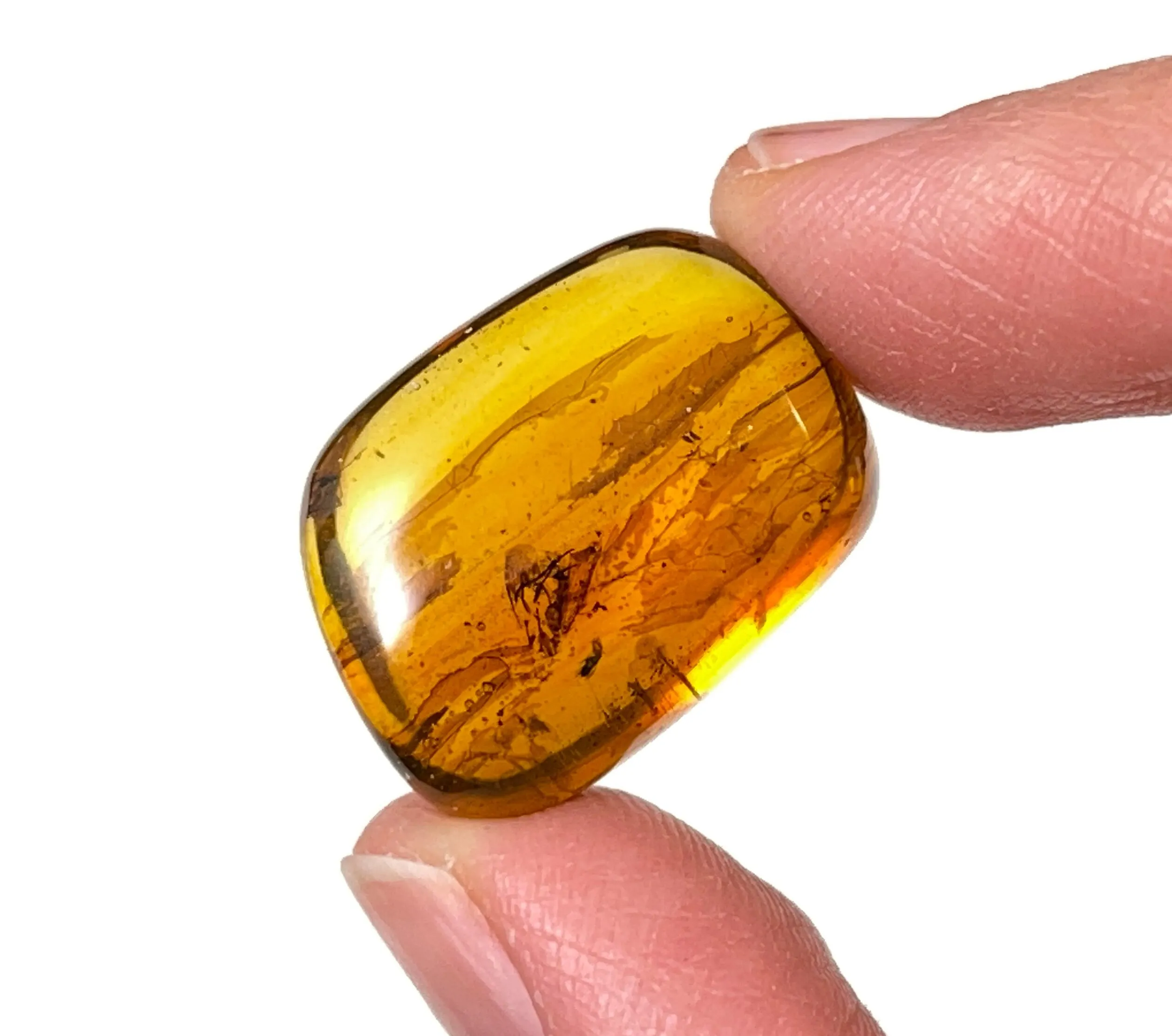 AMBER Stone - Insect Inclusion, Real Fossil - Tumbled Stones, Tumbled Crystals, Healing Crystals and Stones,  52754