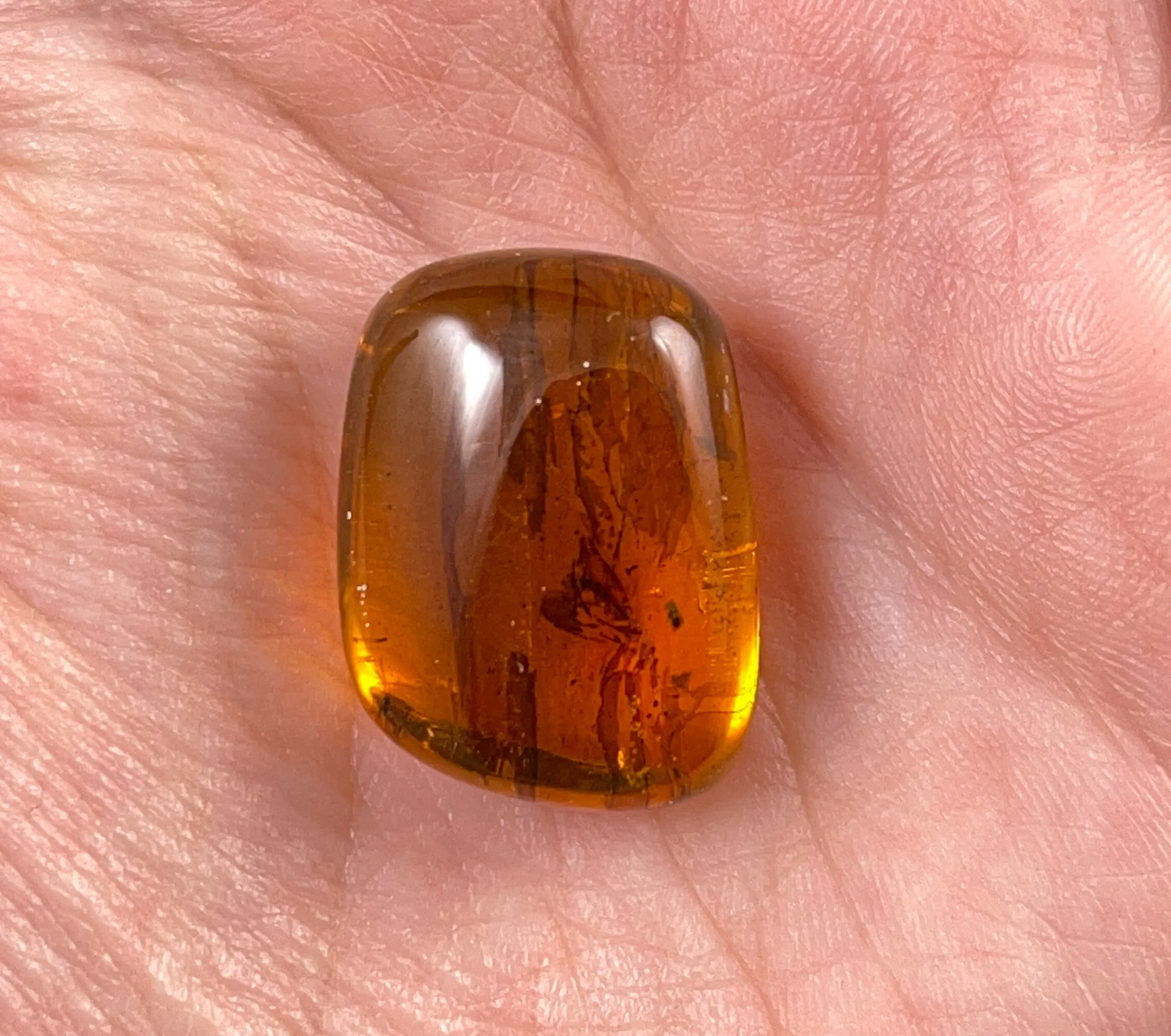 AMBER Stone - Insect Inclusion, Real Fossil - Tumbled Stones, Tumbled Crystals, Healing Crystals and Stones,  52754