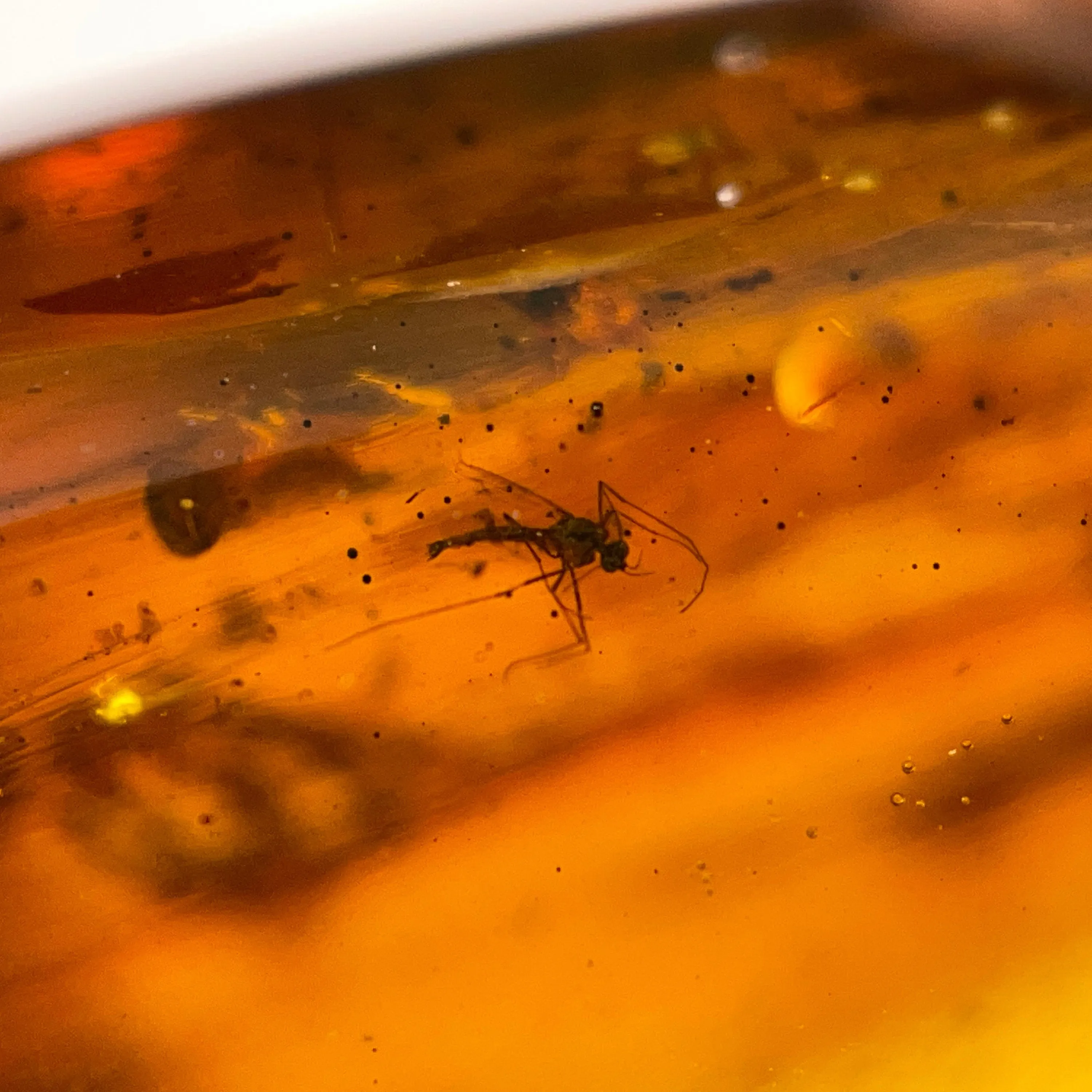 AMBER Stone - Insect Inclusion, Real Fossil - Tumbled Stones, Tumbled Crystals, Healing Crystals and Stones,  52754