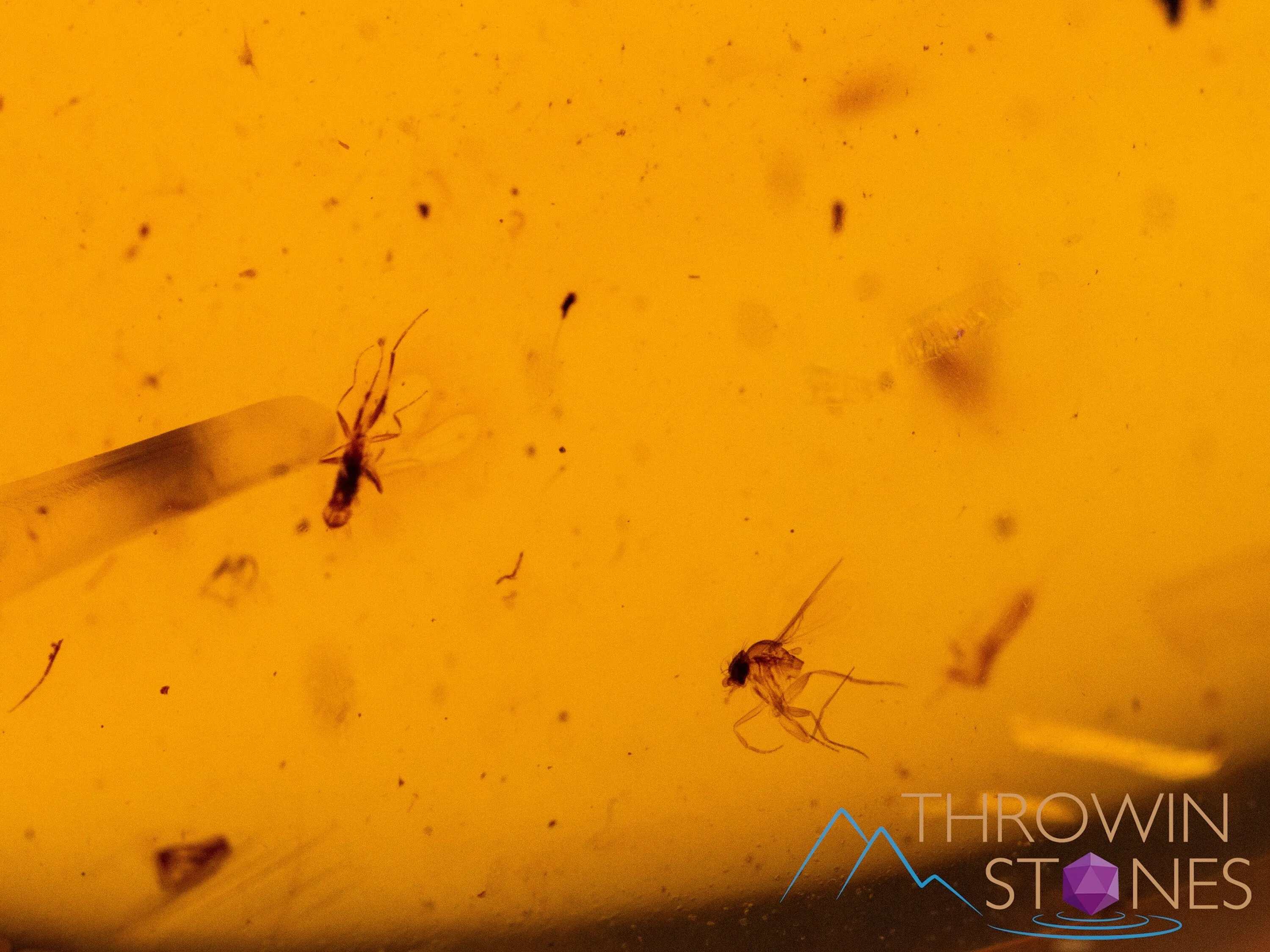 AMBER Stone - Spider Insect Inclusion, Real Fossil - Tumbled Stones, Tumbled Crystals, Healing Crystals and Stones,  52724