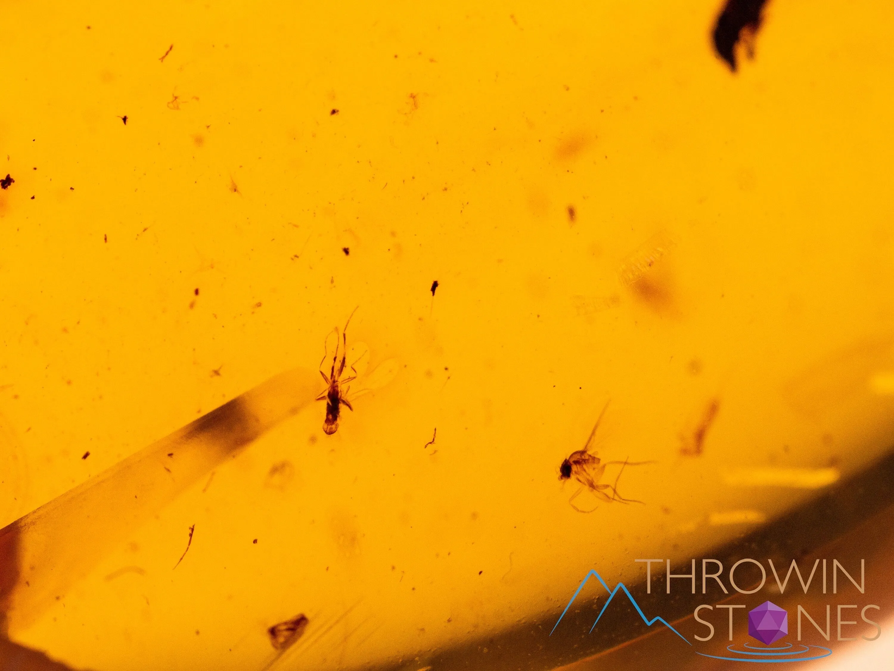 AMBER Stone - Spider Insect Inclusion, Real Fossil - Tumbled Stones, Tumbled Crystals, Healing Crystals and Stones,  52724
