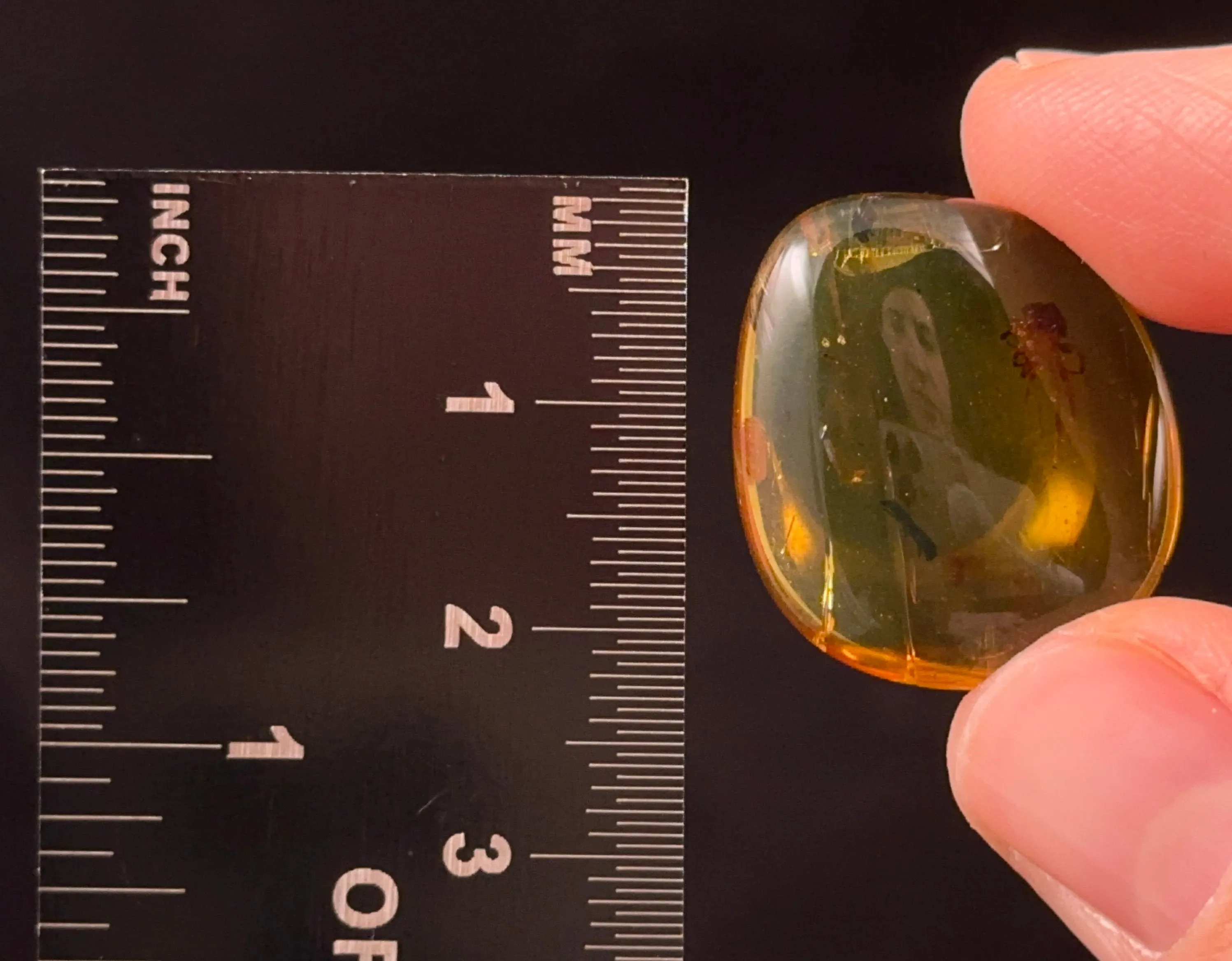 AMBER Stone - Spider Insect Inclusion, Real Fossil - Tumbled Stones, Tumbled Crystals, Healing Crystals and Stones,  52724