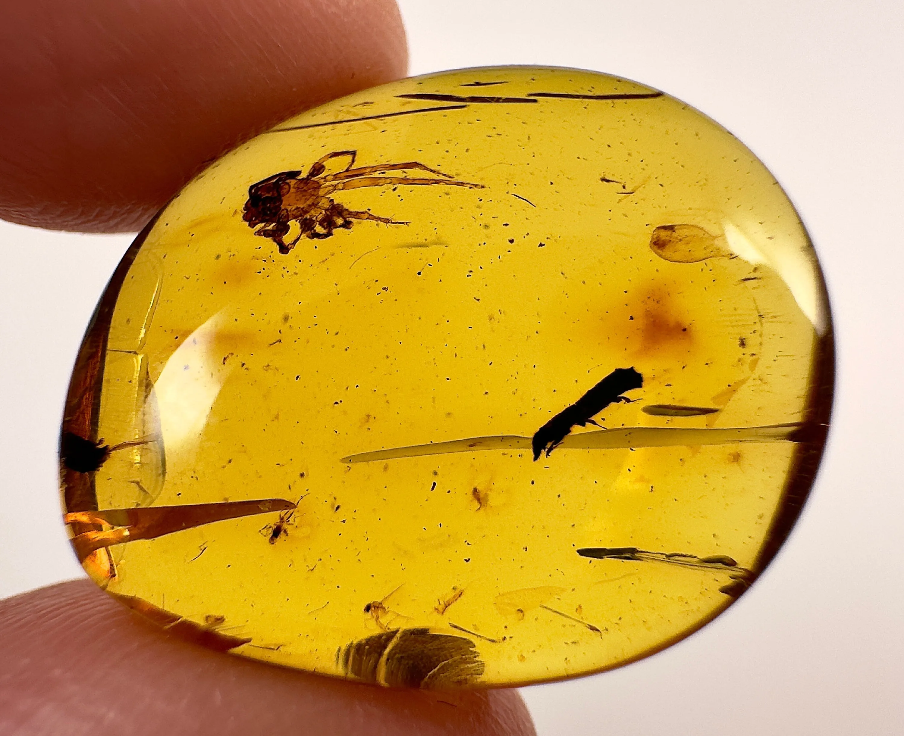 AMBER Stone - Spider Insect Inclusion, Real Fossil - Tumbled Stones, Tumbled Crystals, Healing Crystals and Stones,  52724