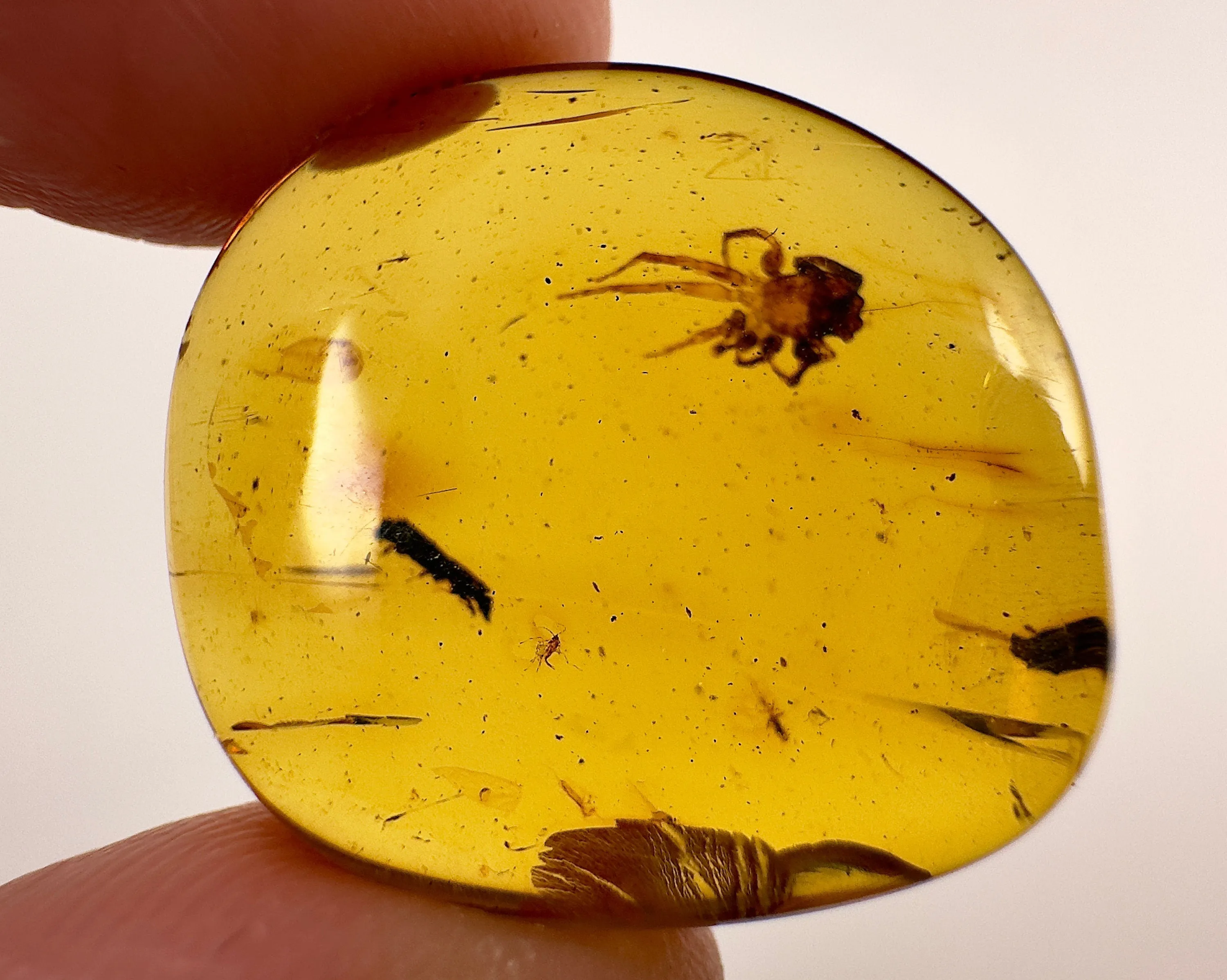 AMBER Stone - Spider Insect Inclusion, Real Fossil - Tumbled Stones, Tumbled Crystals, Healing Crystals and Stones,  52724